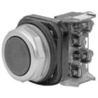 Allen-Bradley - 30mm Momentary Push Button 800