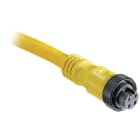 Allen-Bradley - 889 Mini Cable
