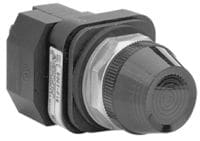Allen-Bradley - 30mm Pilot Light 800T PB
