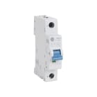 Allen-Bradley - MCB Supplementary Protector 6