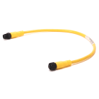 Allen-Bradley - 889 DC Micro Cable